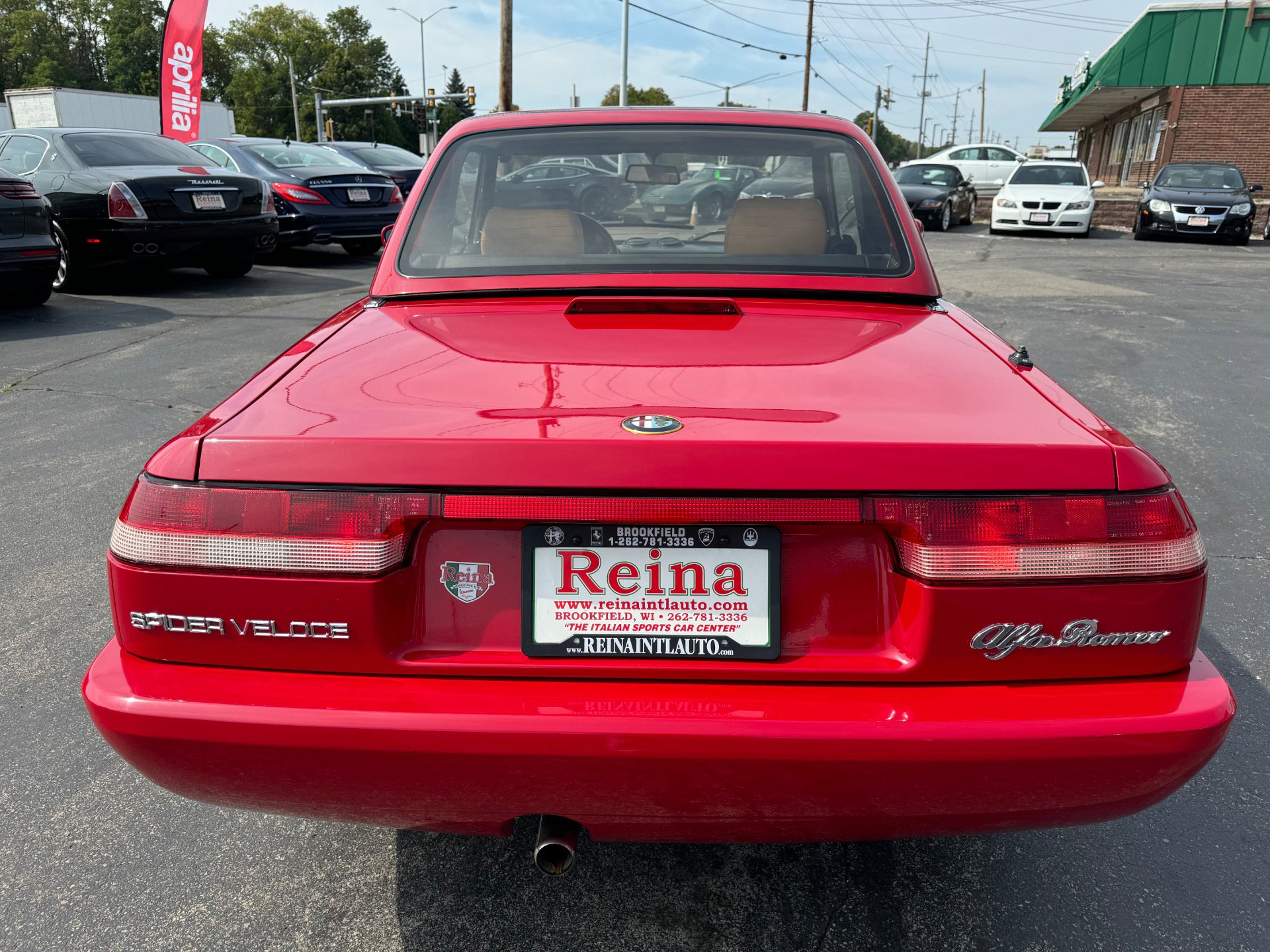Used 1991 Alfa Romeo Spider Veloce image 8