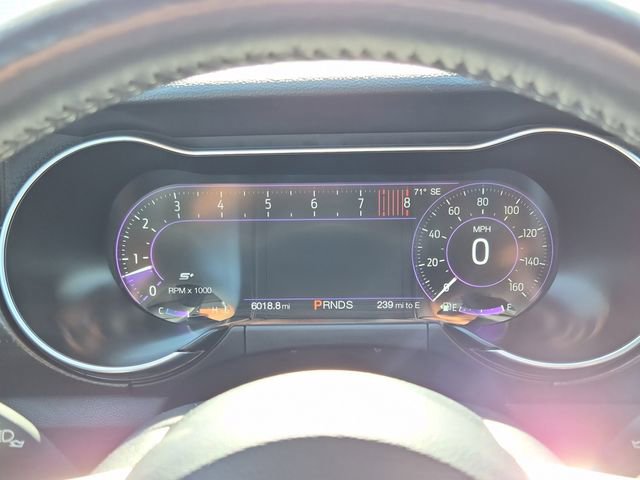 Used 2020 Ford Mustang GT Premium w/ Equipment Group 401A image 13