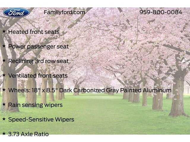 New 2026 Ford Expedition Tremor image 53