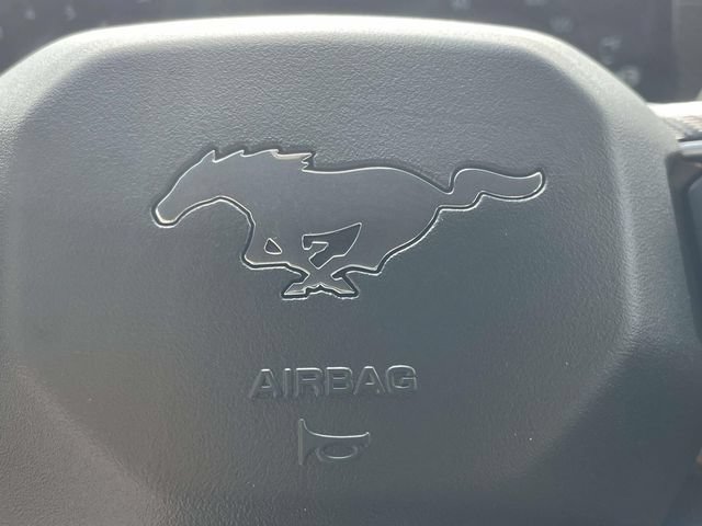 New 2026 Ford Mustang GT w/ Mustang Nite Pony Package RWD image 21