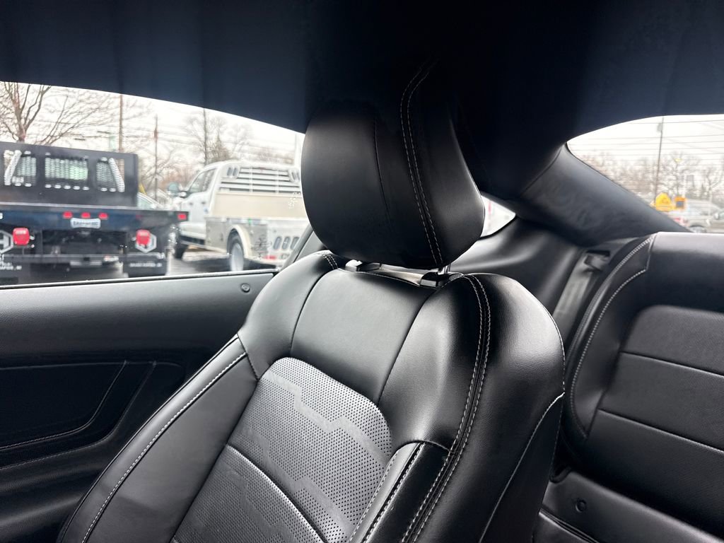 Used 2019 Ford Mustang Premium w/ Equipment Group 201A image 38