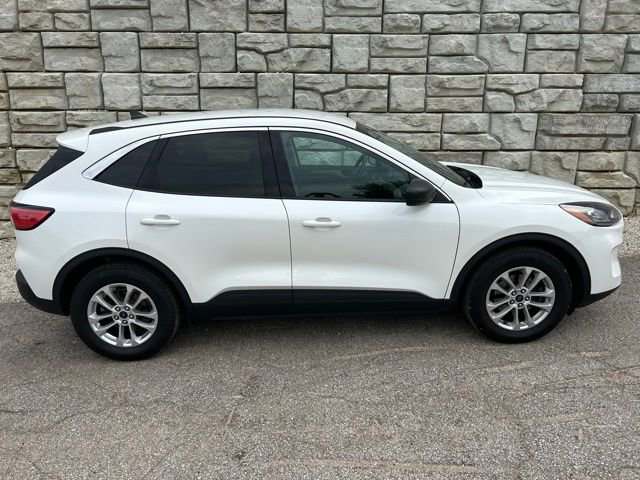 Used 2022 Ford Escape SE FWD image 6