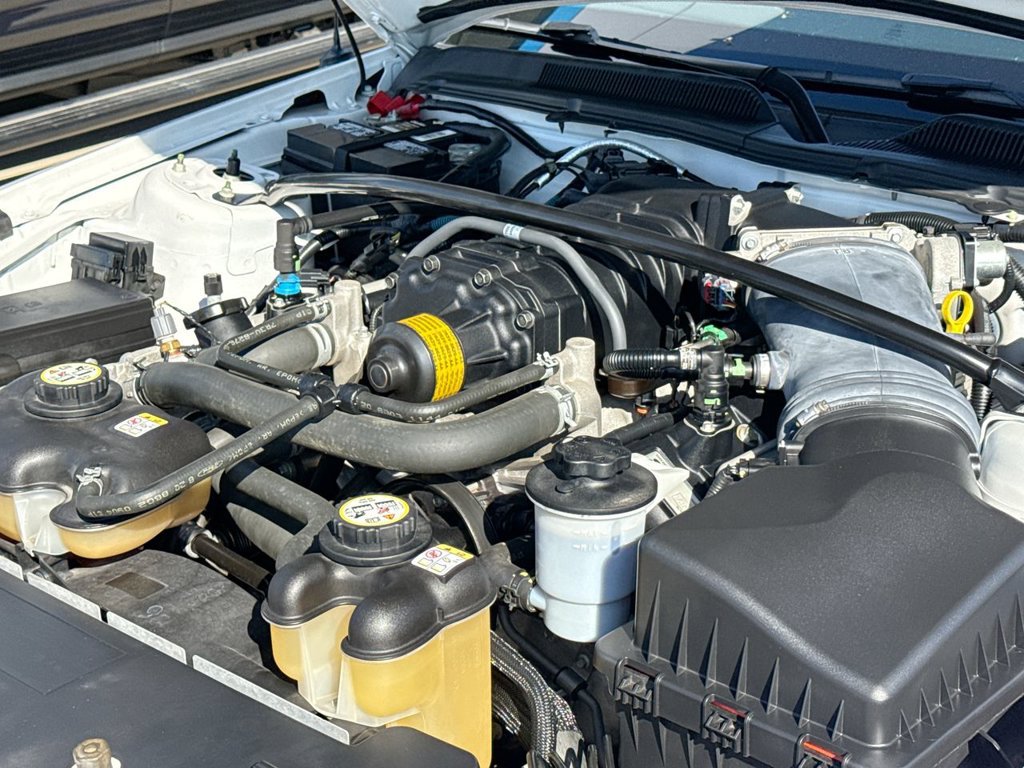 Used 2009 Ford Mustang Shelby GT500 RWD image 27