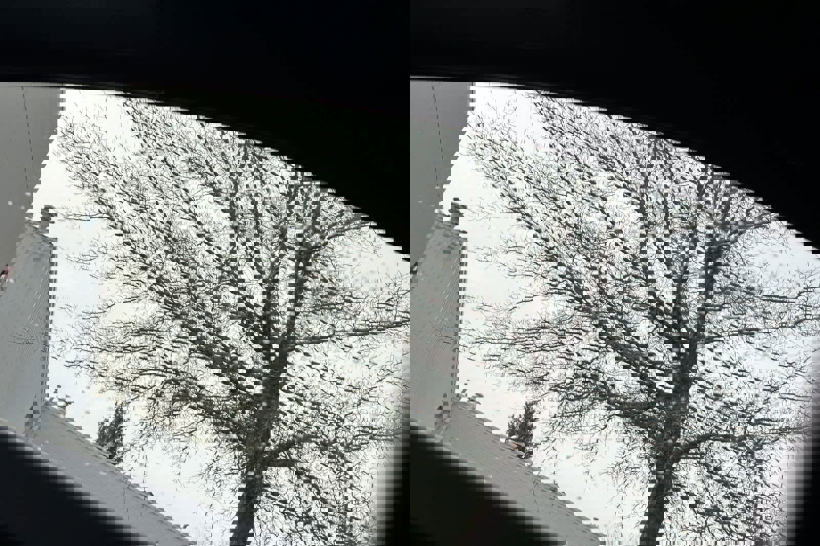 Used 2016 Honda Accord EX-L image 20