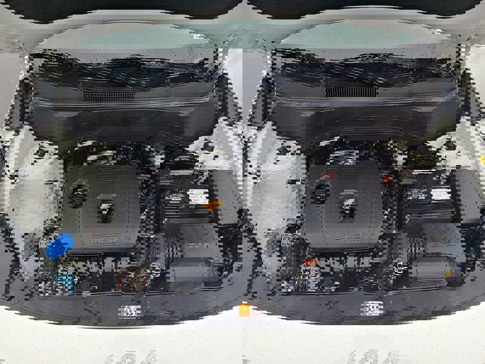 Used 2023 Kia Seltos LX image 28