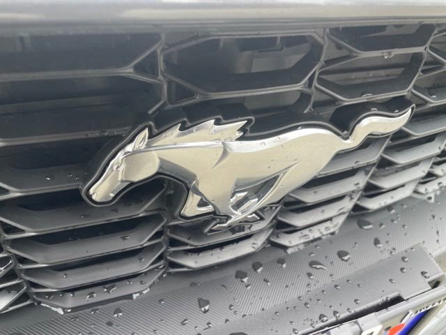 New 2026 Ford Mustang Coupe image 25