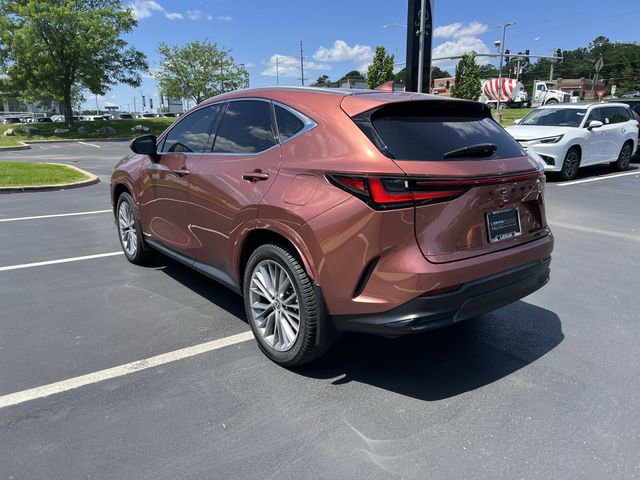 Used 2025 Lexus NX 350h AWD w/ Cold Area Package image 5
