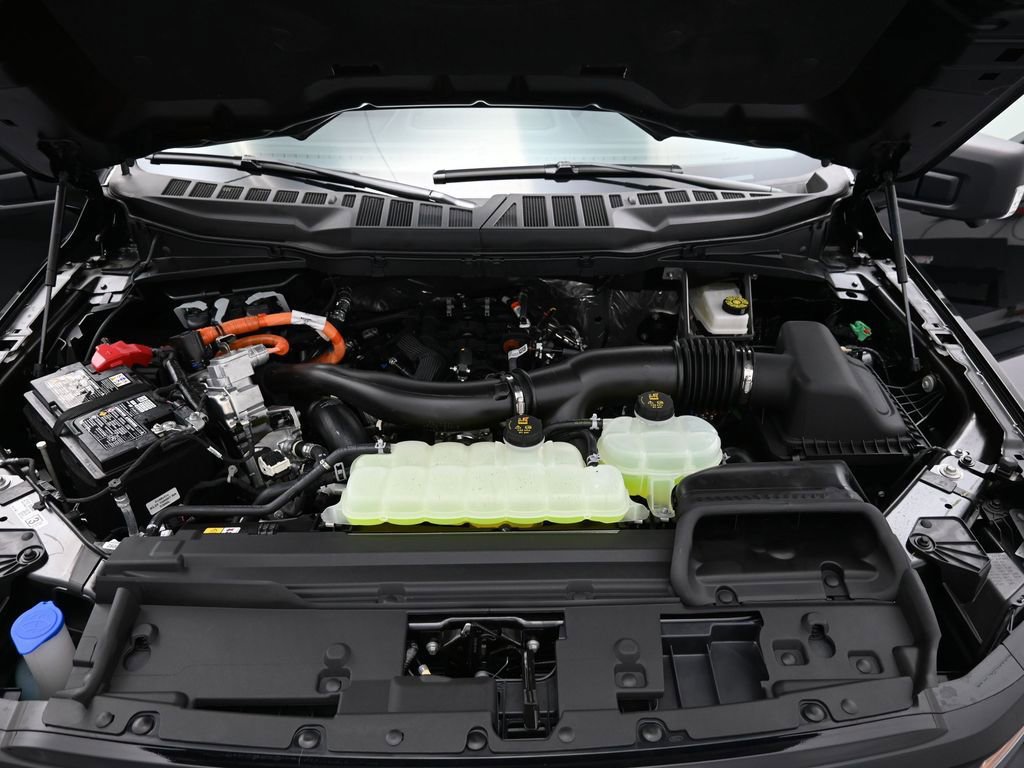 New 2025 Ford F150 XLT w/ Equipment Group 302A MID image 22