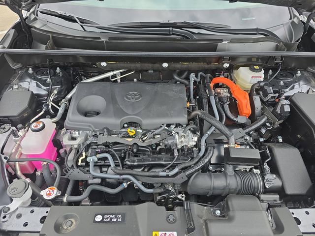 Certified 2025 Toyota RAV4 LE image 29