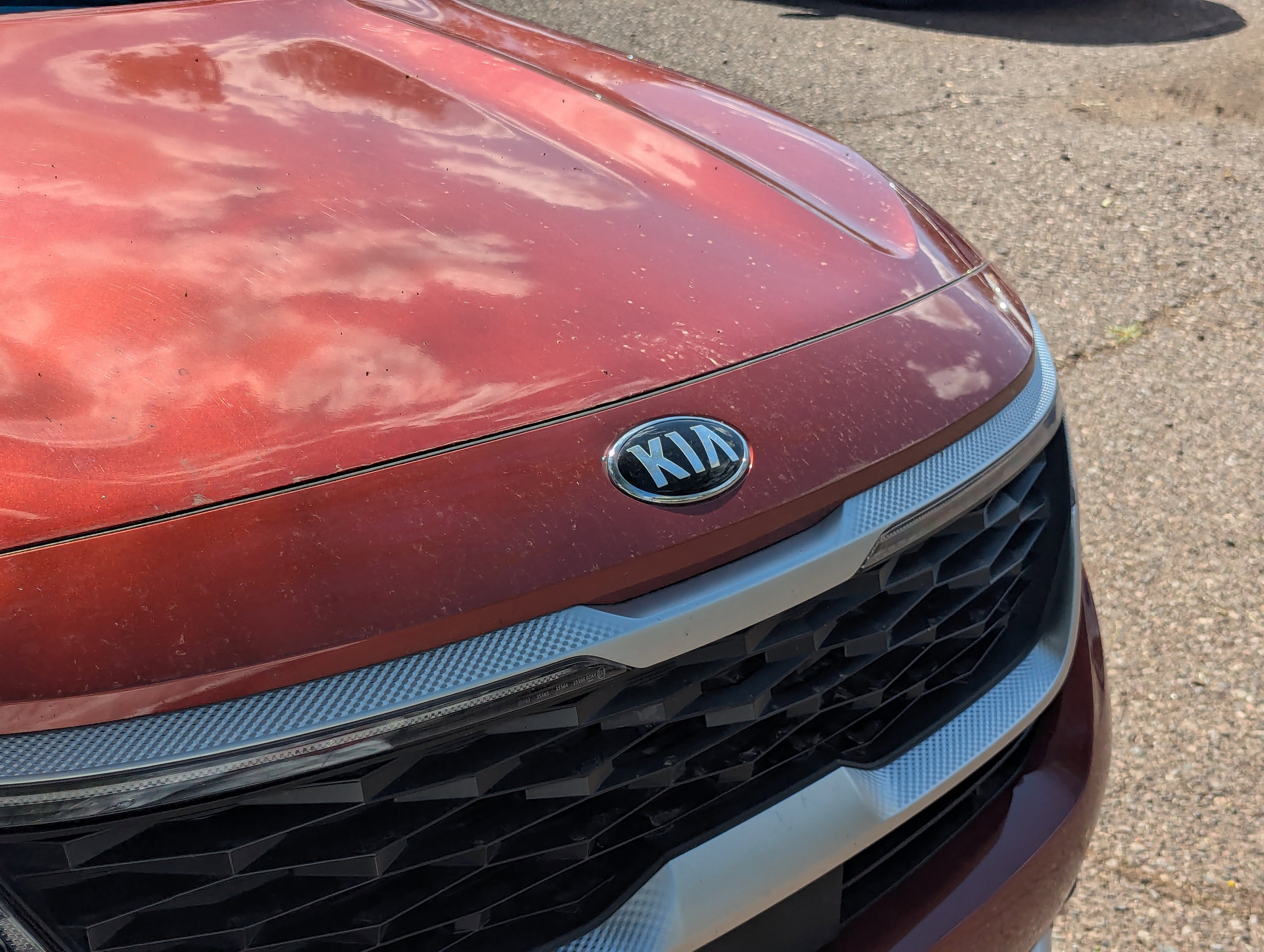 Certified 2021 Kia Seltos SX image 6