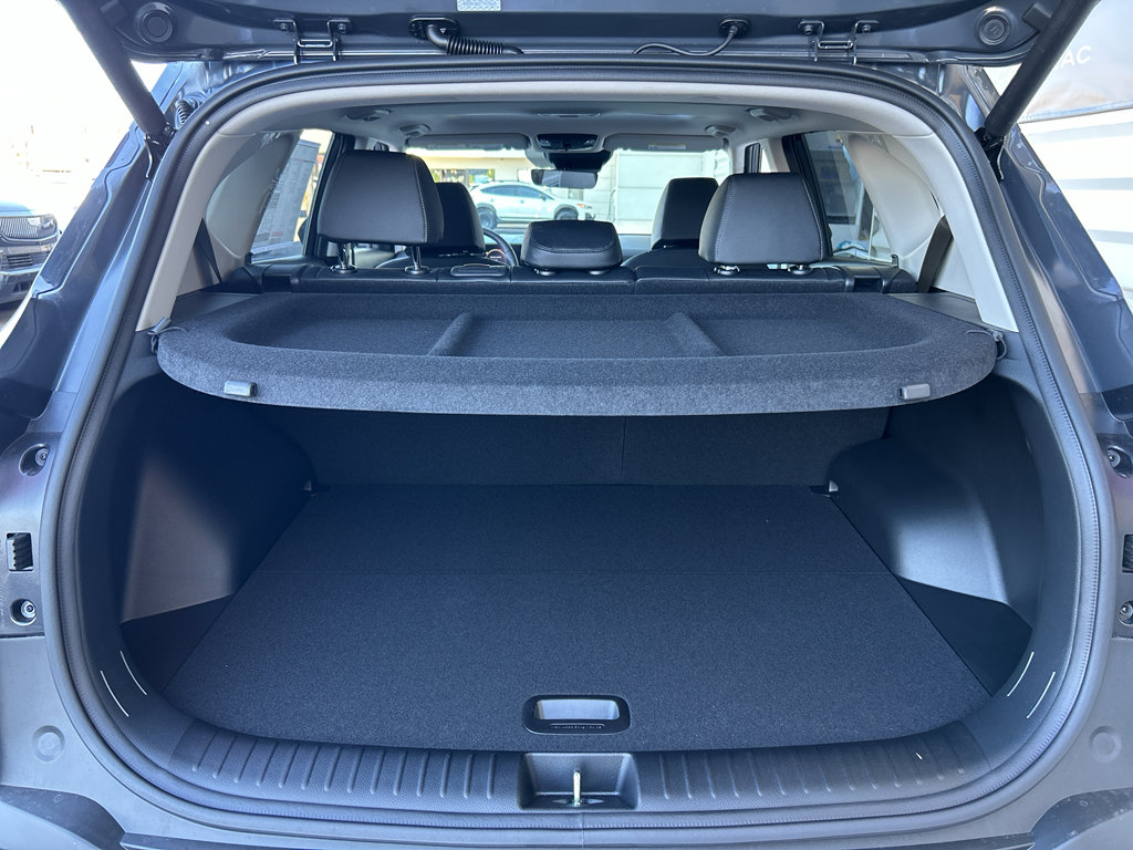 New 2026 Kia Seltos EX w/ EX Sunroof Package image 14