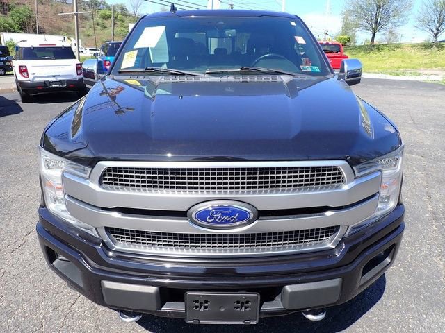 Used 2019 Ford F150 Platinum image 9