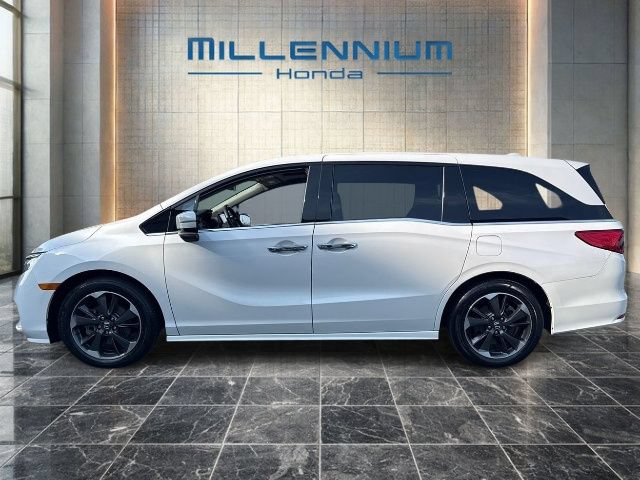 Certified 2024 Honda Odyssey Elite image 2