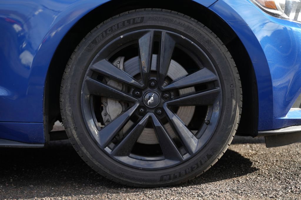 Used 2017 Ford Mustang EcoBoost w/ Ecoboost Performance Package image 13