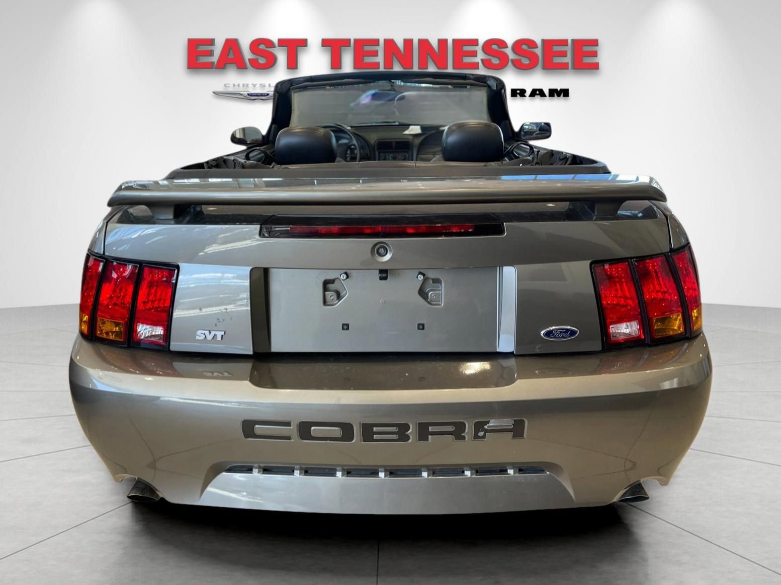 Used 2001 Ford Mustang Cobra RWD image 4