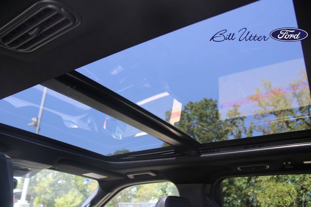 New 2025 Ford Expedition Platinum w/ Stealth Appearance Package image 12