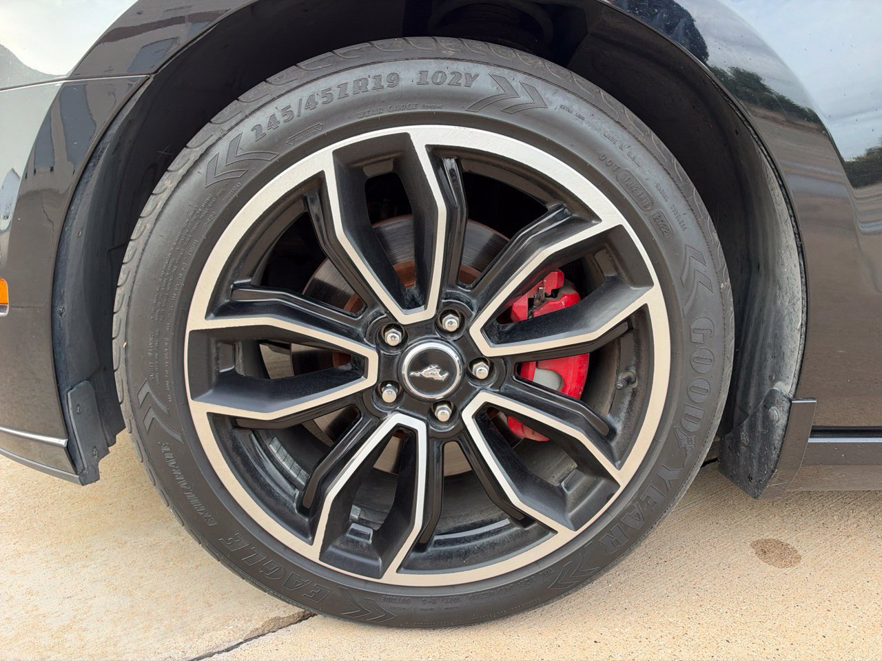 Used 2014 Ford Mustang GT w/ Equipment Group 301A RWD image 9