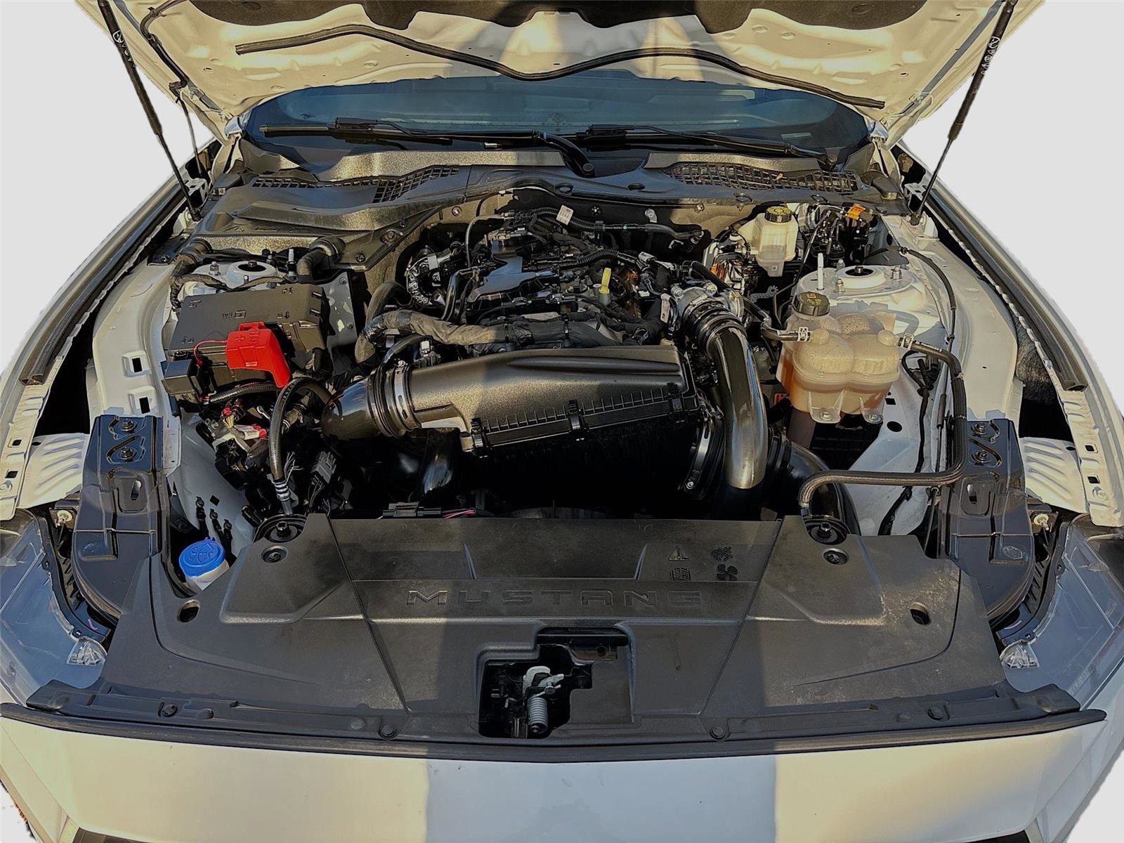 Used 2024 Ford Mustang Premium image 30