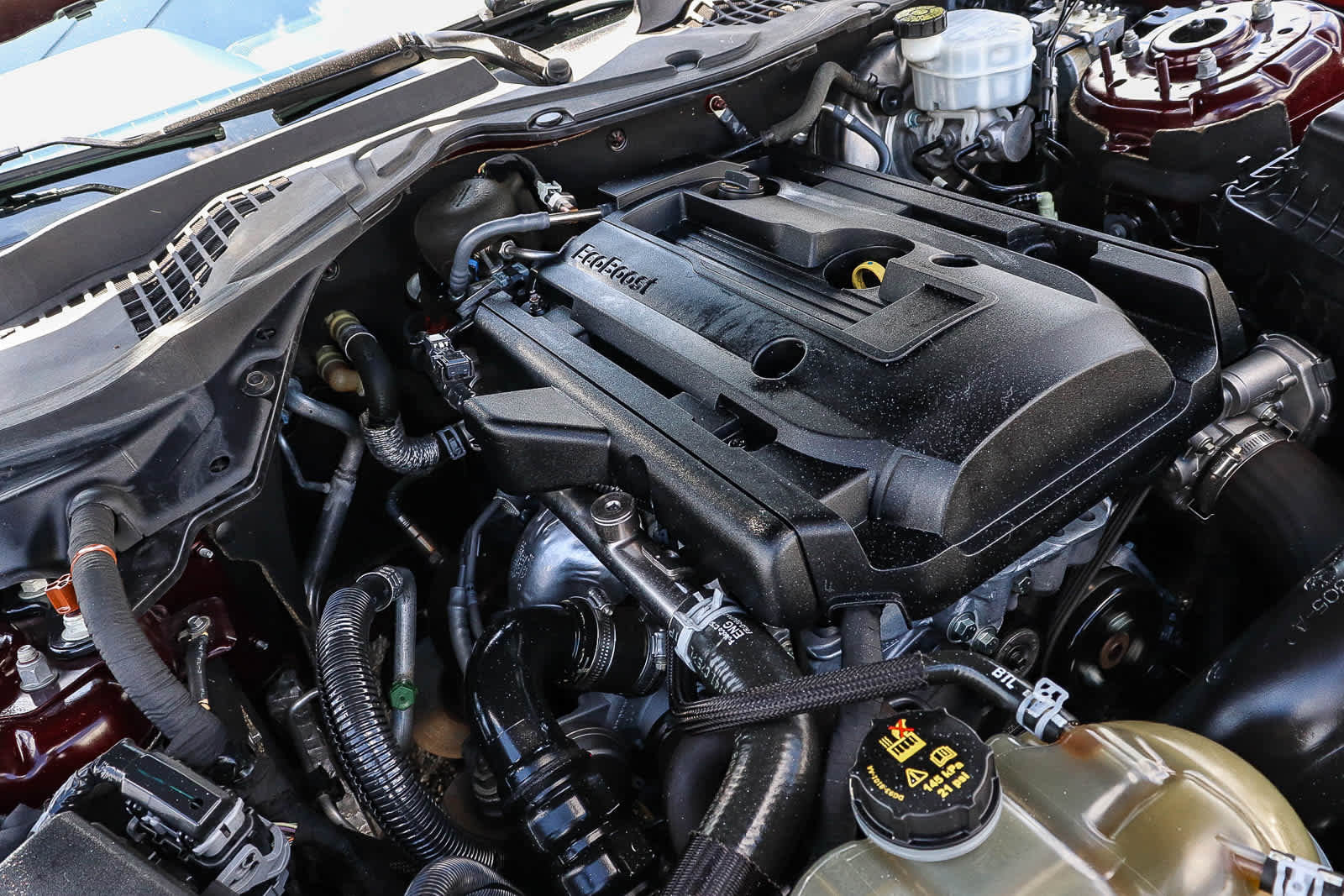 Used 2018 Ford Mustang Coupe RWD image 31
