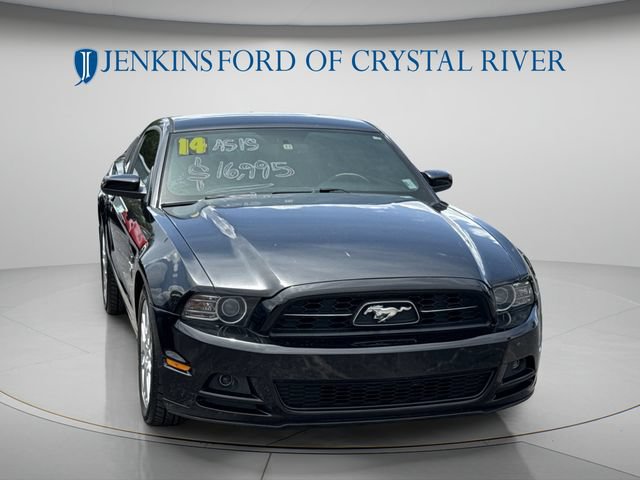 Used 2014 Ford Mustang Premium w/ Equipment Group 202A RWD image 13