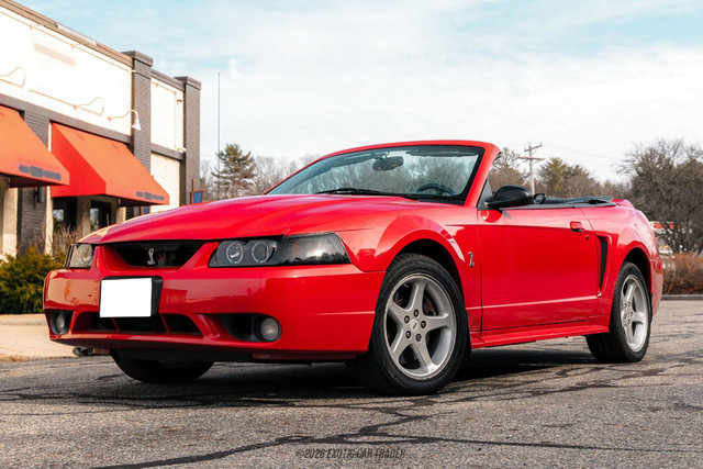Used 1999 Ford Mustang Cobra RWD image 14