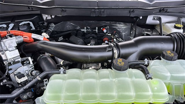 New 2025 Ford F150 XLT w/ Equipment Group 302A MID image 33