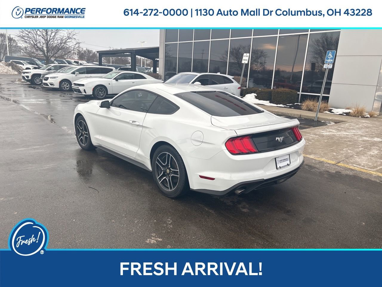 Used 2019 Ford Mustang Premium image 6