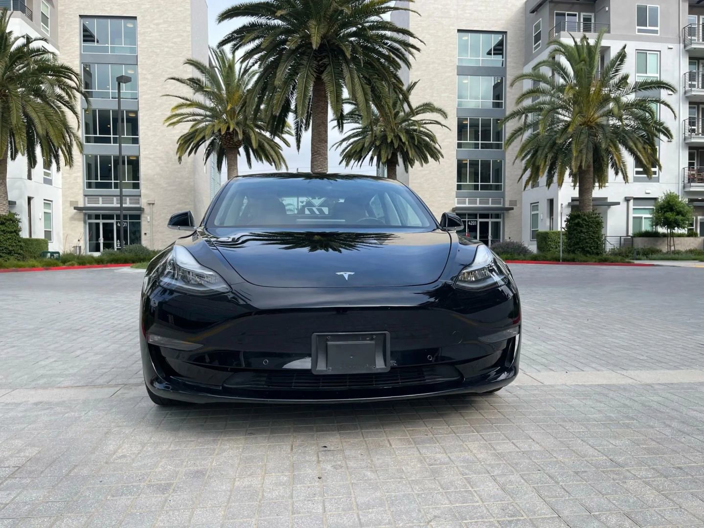 Used 2020 Tesla Model 3 Standard Range Plus RWD image 2