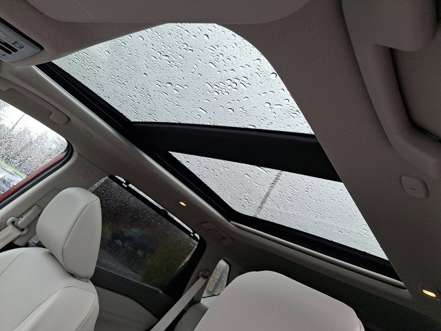 Used 2023 Nissan Rogue SV w/ SV Premium B Package image 15