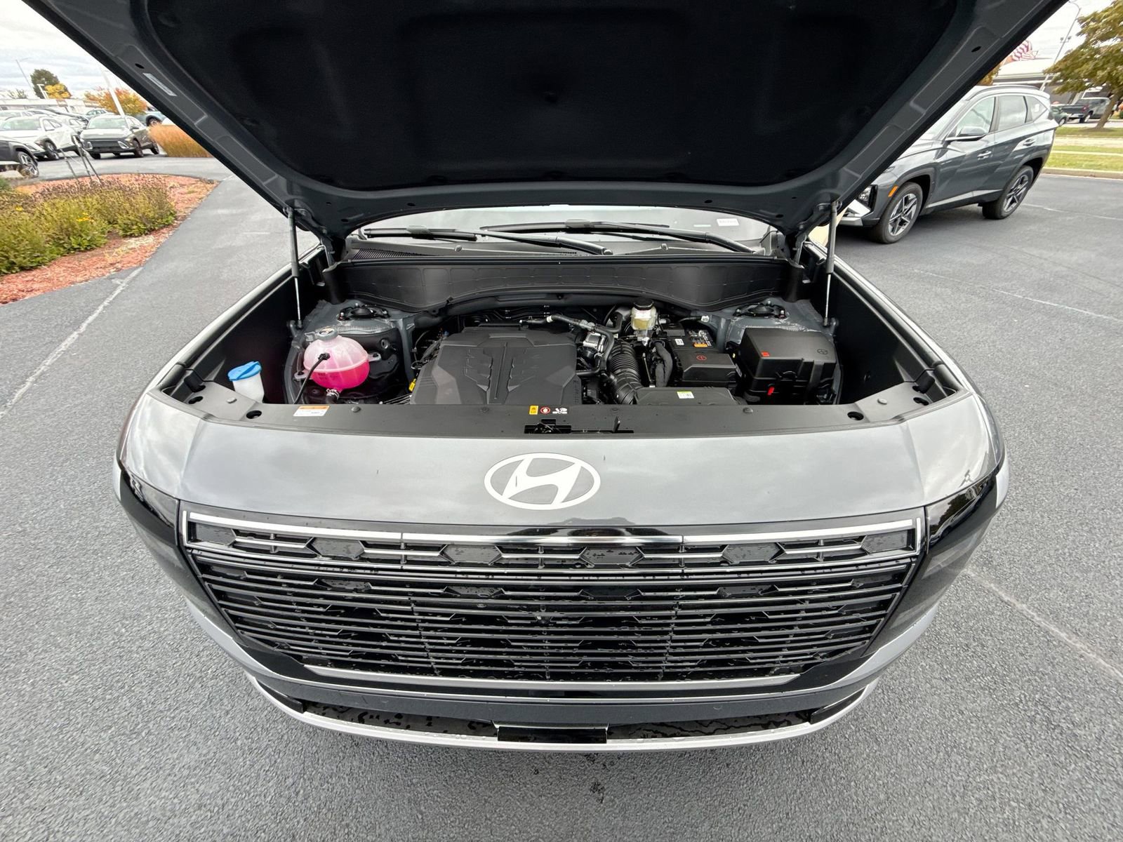 New 2026 Hyundai Palisade Calligraphy image 28