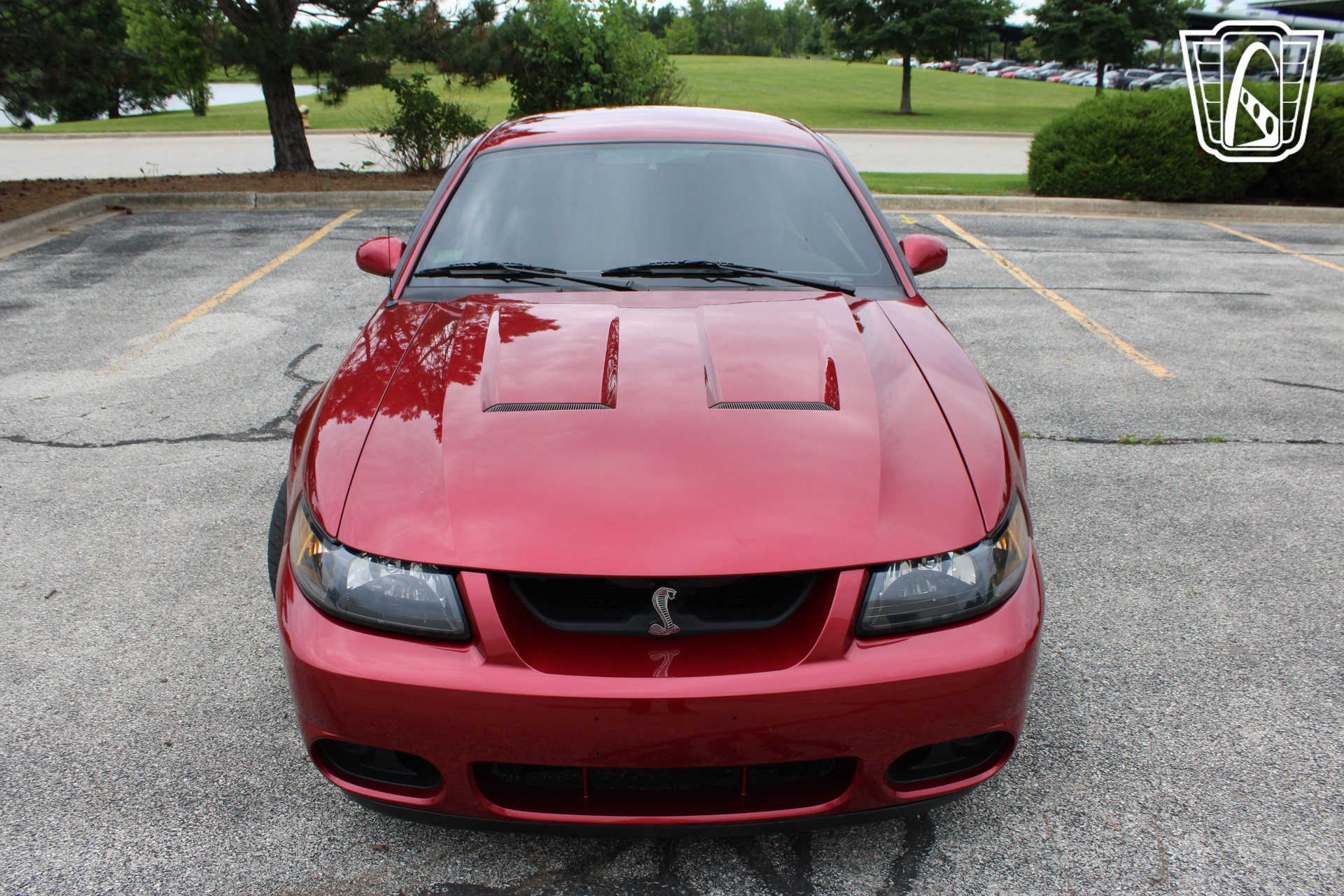 Used 2003 Ford Mustang Cobra RWD image 34