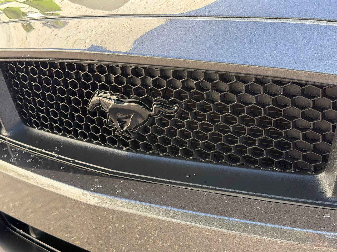 Used 2017 Ford Mustang GT w/ Black Accent Package RWD image 5