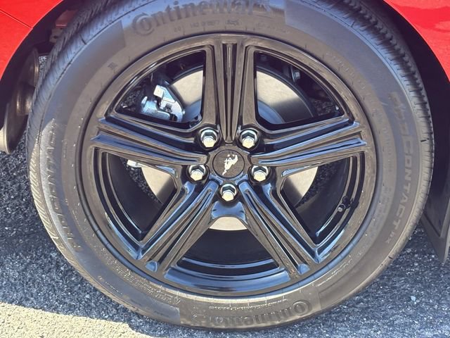 Used 2026 Ford Mustang Coupe RWD image 9