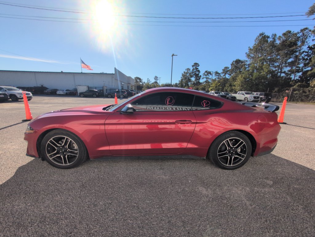 Used 2022 Ford Mustang Coupe w/ Equipment Group 101A RWD image 5