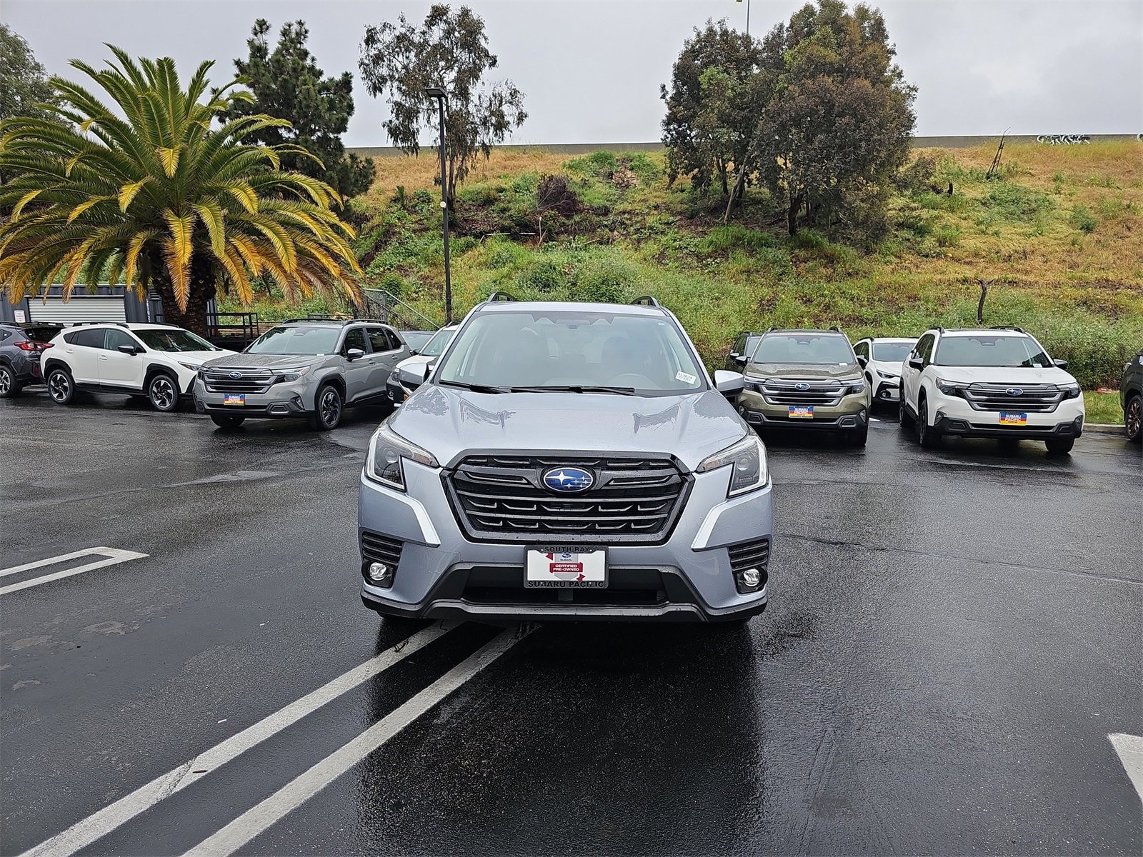 Certified 2024 Subaru Forester Premium image 2