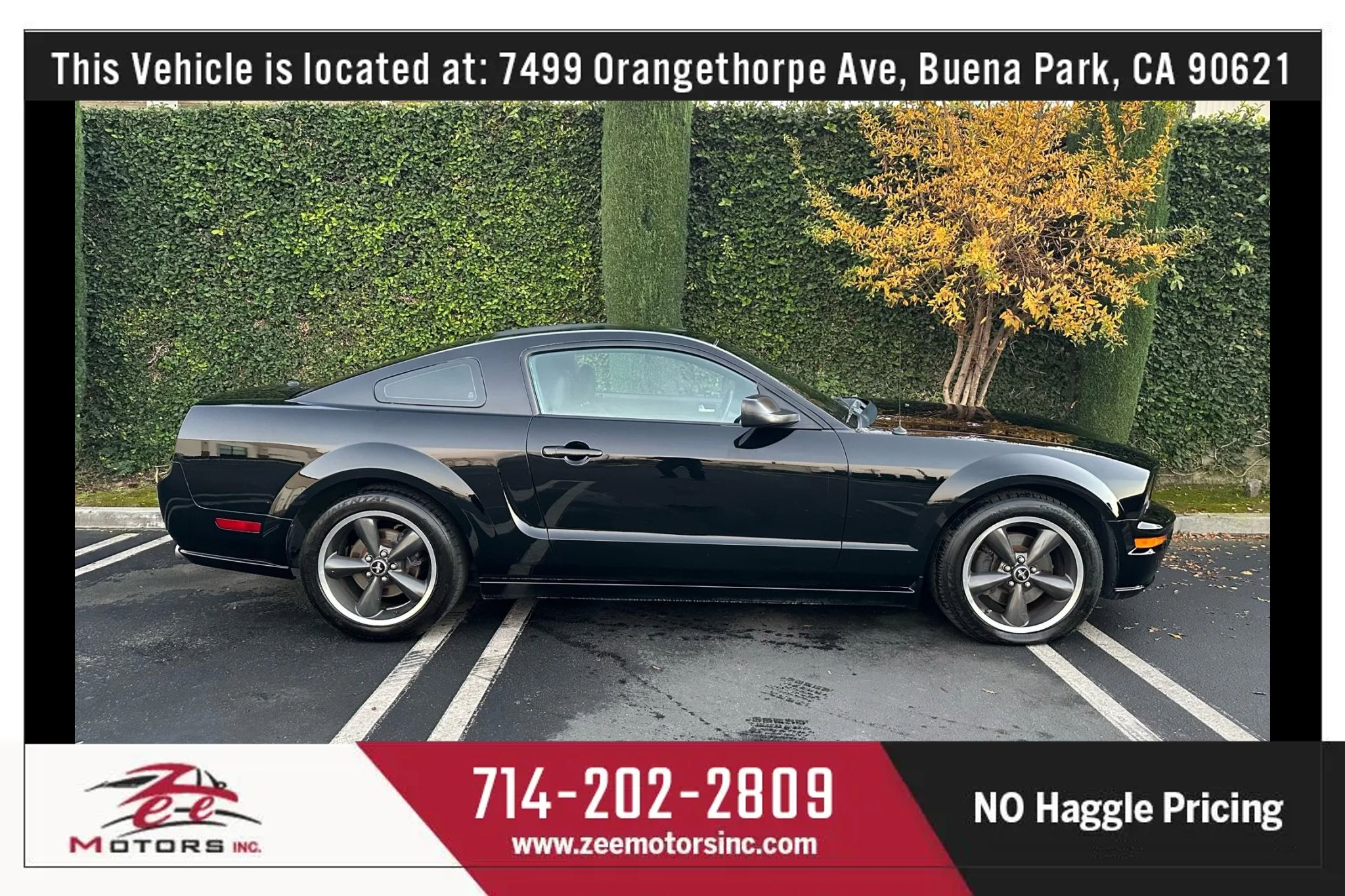 Used 2009 Ford Mustang GT Premium image 5