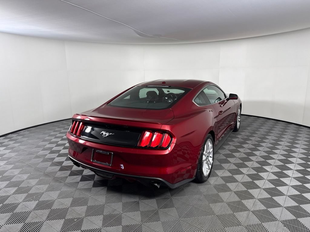 Used 2017 Ford Mustang Premium w/ Equipment Group 201A RWD image 5