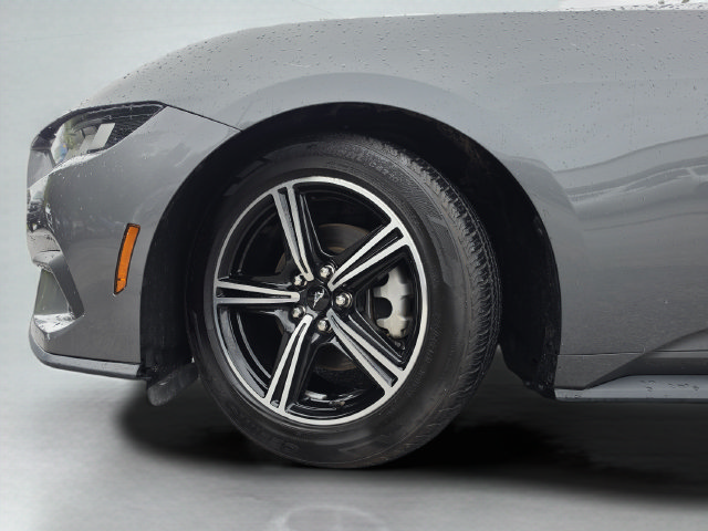 Used 2024 Ford Mustang Premium RWD image 45