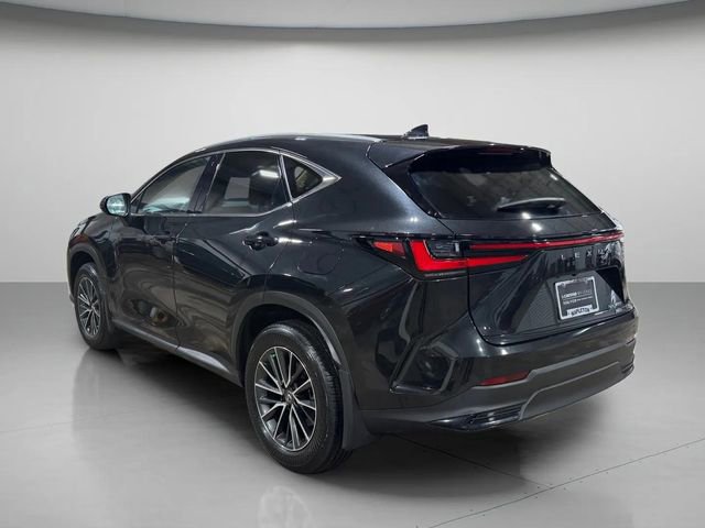 Used 2024 Lexus NX 350 AWD image 6