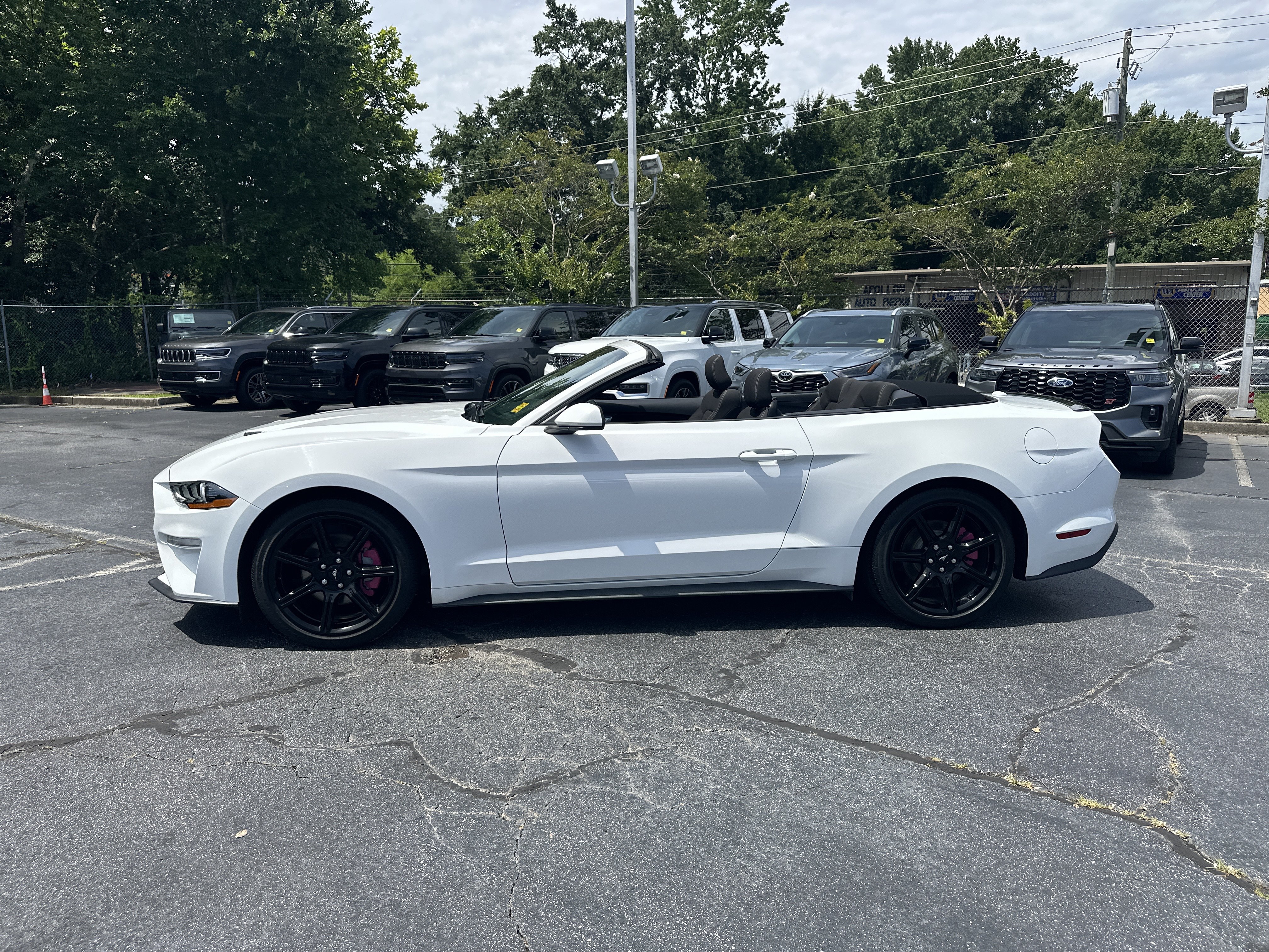 Used 2019 Ford Mustang Convertible w/ Equipment Group 101A RWD image 6