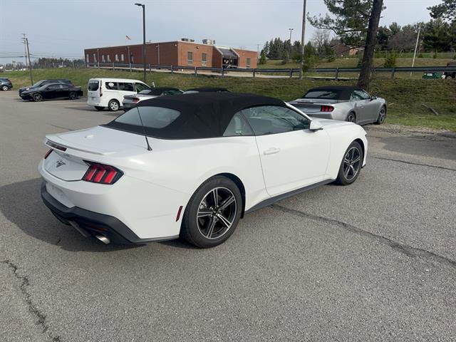 Used 2024 Ford Mustang Premium image 6