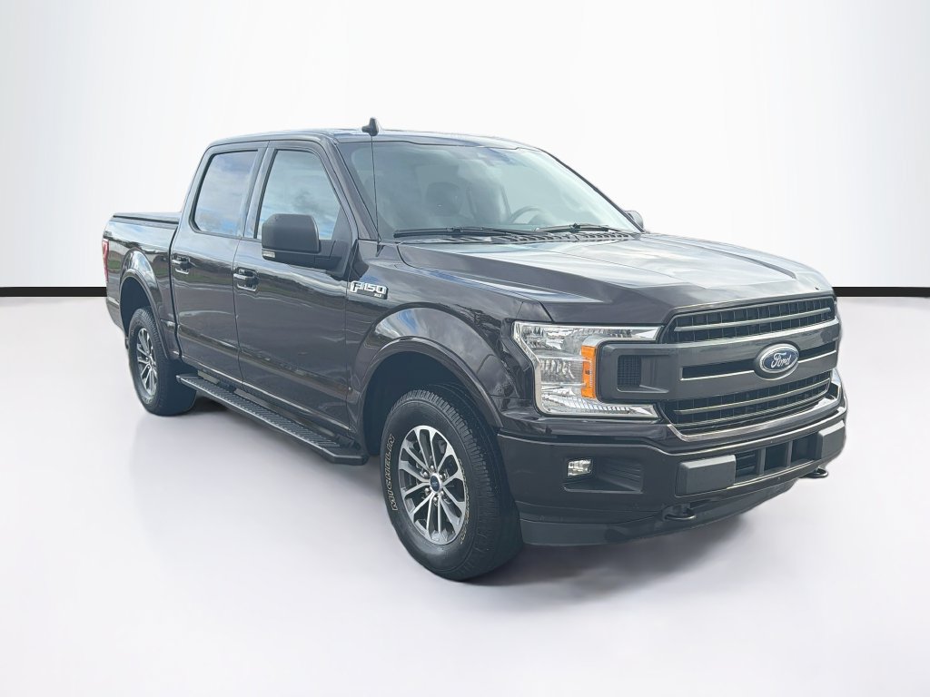 Used 2019 Ford F150 XLT w/ Equipment Group 302A Luxury AWD/4WD image 3