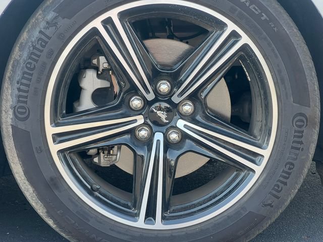 Used 2025 Ford Mustang Premium RWD image 6