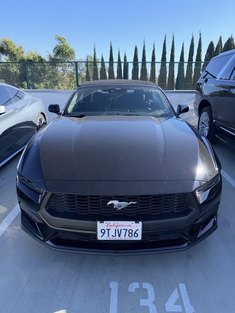 Used 2025 Ford Mustang EcoBoost image 1