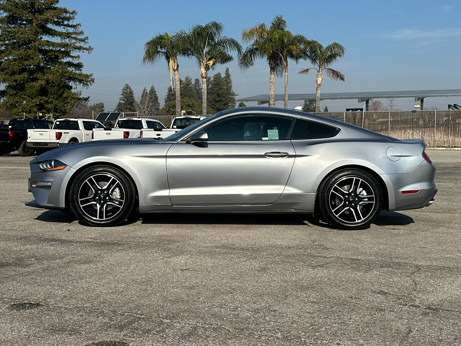 Certified 2022 Ford Mustang Premium image 8