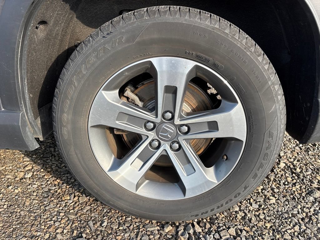 Used 2024 Honda Pilot EX-L image 6