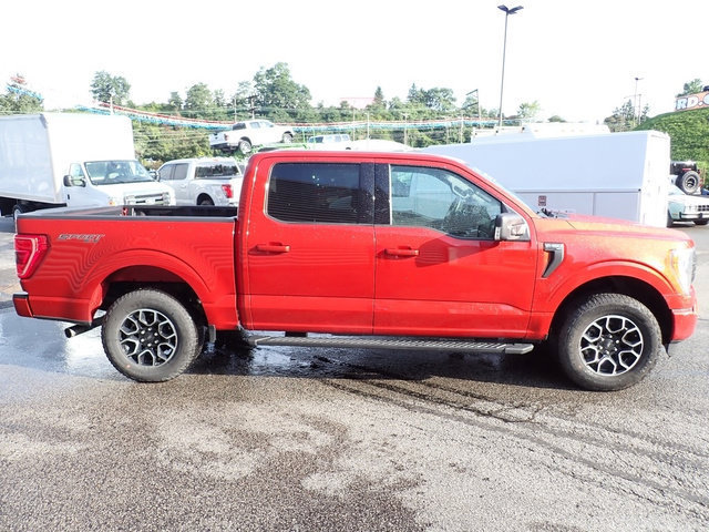 Used 2023 Ford F150 XLT w/ Equipment Group 302A High AWD/4WD image 9