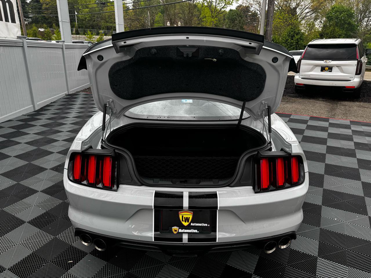 Used 2017 Ford Mustang Shelby GT350 RWD image 20