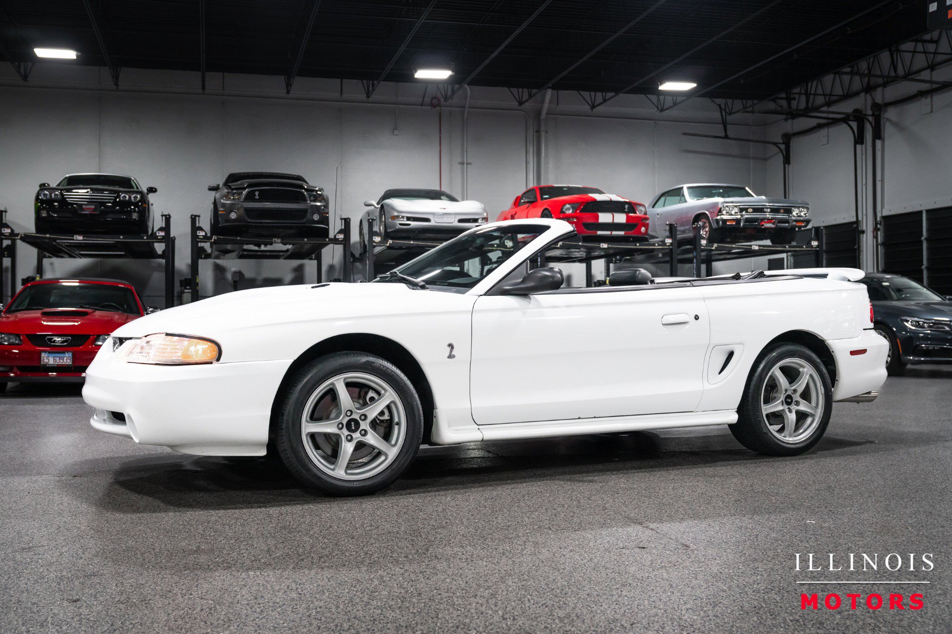 Used 1998 Ford Mustang Cobra