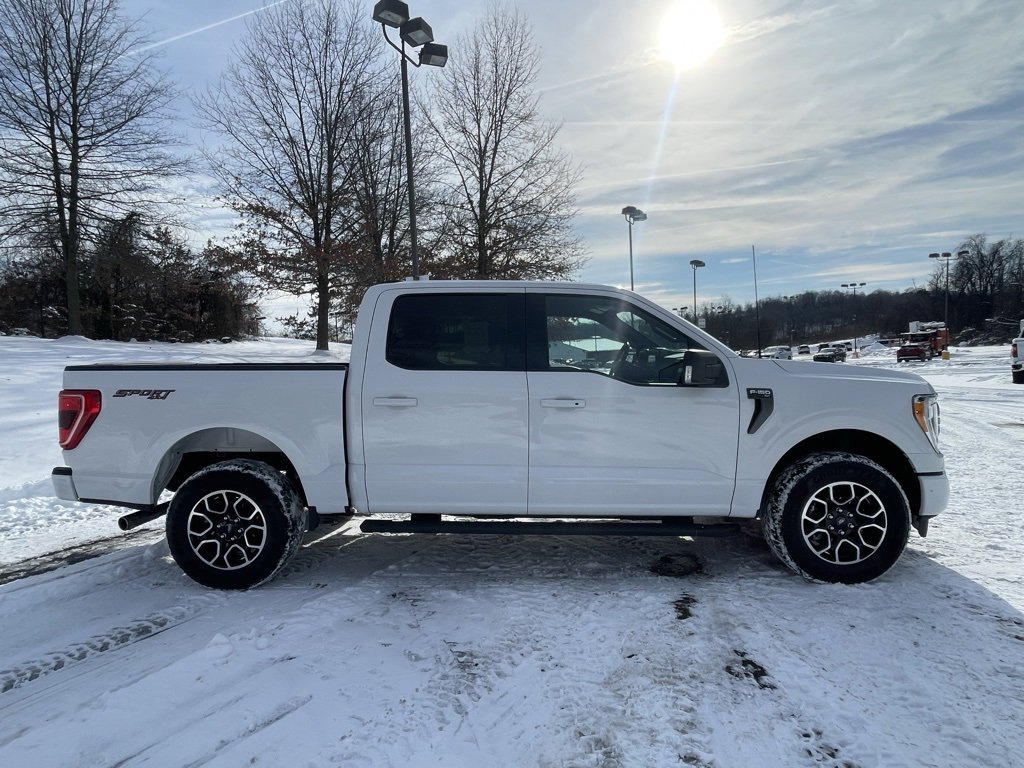 Used 2023 Ford F150 XLT w/ Equipment Group 302A High image 2